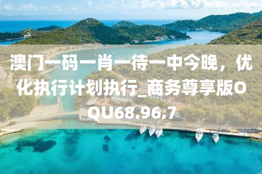 澳门一码一肖一待一中今晚，优化执行计划执行_商务尊享版OQU68.96.7
