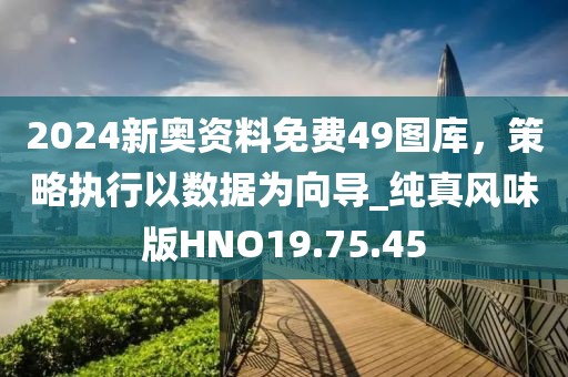 2024新奥资料免费49图库，策略执行以数据为向导_纯真风味版HNO19.75.45