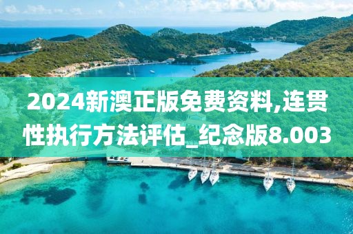 2024新澳正版免费资料,连贯性执行方法评估_纪念版8.003