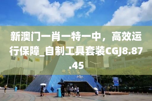 新澳门一肖一特一中，高效运行保障_自制工具套装CGJ8.87.45