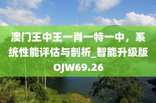 澳门王中王一肖一特一中，系统性能评估与剖析_智能升级版OJW69.26
