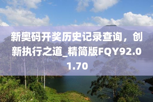 新奥码开奖历史记录查询，创新执行之道_精简版FQY92.01.70