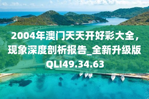 2004年澳门天天开好彩大全，现象深度剖析报告_全新升级版QLI49.34.63