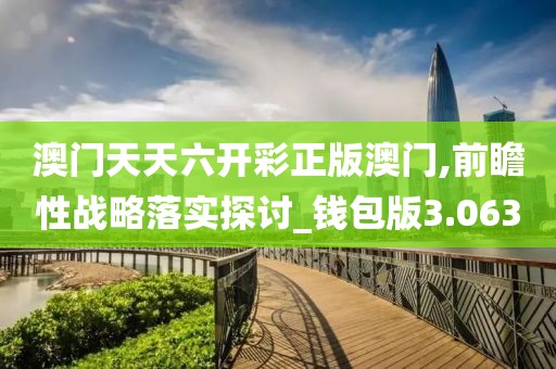 澳门天天六开彩正版澳门,前瞻性战略落实探讨_钱包版3.063