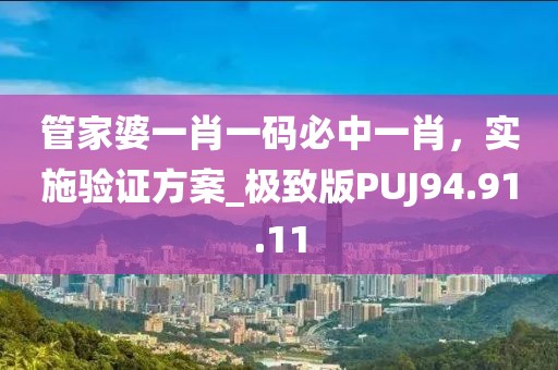 管家婆一肖一码必中一肖，实施验证方案_极致版PUJ94.91.11