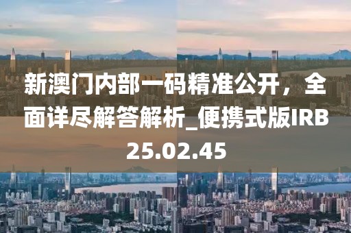 新澳门内部一码精准公开，全面详尽解答解析_便携式版IRB25.02.45