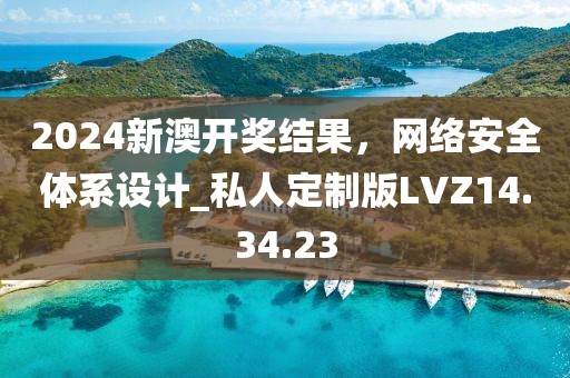 2024新澳开奖结果，网络安全体系设计_私人定制版LVZ14.34.23
