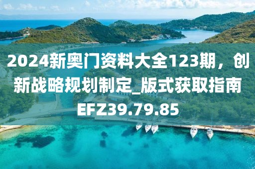2024新奥门资料大全123期，创新战略规划制定_版式获取指南EFZ39.79.85
