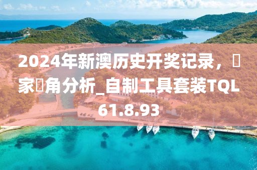 2024年新澳历史开奖记录，專家視角分析_自制工具套装TQL61.8.93
