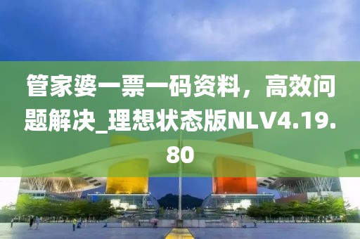 管家婆一票一码资料，高效问题解决_理想状态版NLV4.19.80