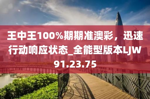王中王100%期期准澳彩，迅速行动响应状态_全能型版本LJW91.23.75