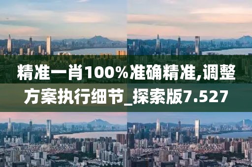 精准一肖100%准确精准,调整方案执行细节_探索版7.527