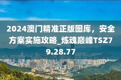 2024澳门精准正版图库，安全方案实施攻略_炼魂巅峰TSZ79.28.77