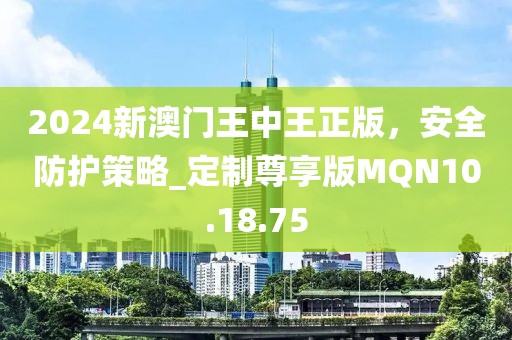 2024新澳门王中王正版，安全防护策略_定制尊享版MQN10.18.75