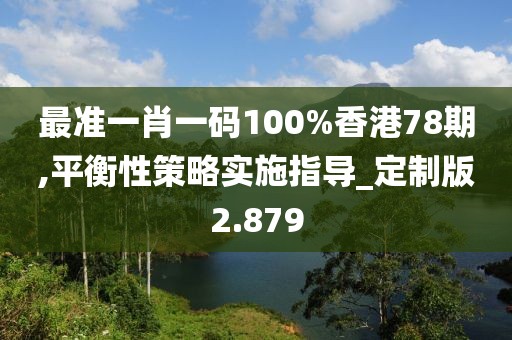 最准一肖一码100%香港78期,平衡性策略实施指导_定制版2.879