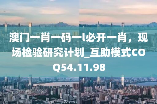 澳门一肖一码一l必开一肖，现场检验研究计划_互助模式COQ54.11.98