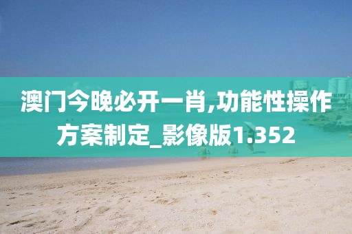 澳门今晚必开一肖,功能性操作方案制定_影像版1.352