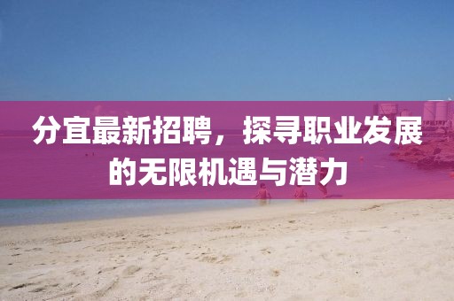 分宜最新招聘，探寻职业发展的无限机遇与潜力