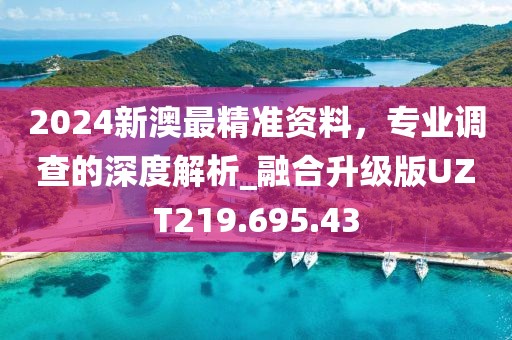 2024新澳最精准资料，专业调查的深度解析_融合升级版UZT219.695.43