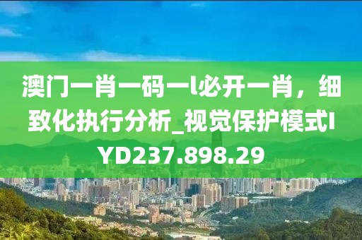 澳门一肖一码一l必开一肖，细致化执行分析_视觉保护模式IYD237.898.29