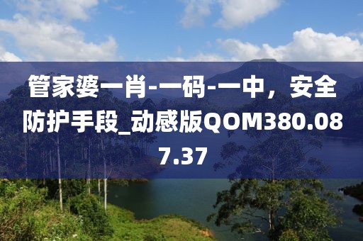 管家婆一肖-一码-一中，安全防护手段_动感版QOM380.087.37