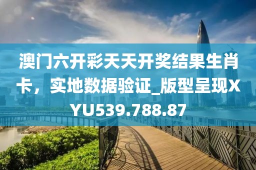 澳门六开彩天天开奖结果生肖卡，实地数据验证_版型呈现XYU539.788.87