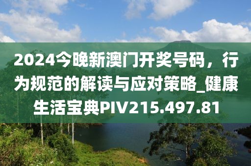 2024年11月 第71页