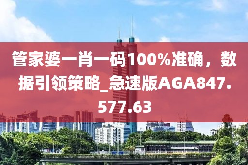 管家婆一肖一码100%准确，数据引领策略_急速版AGA847.577.63