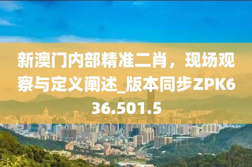 新澳门内部精准二肖，现场观察与定义阐述_版本同步ZPK636.501.5