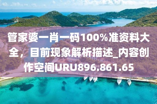 管家婆一肖一码100%准资料大全，目前现象解析描述_内容创作空间URU896.861.65
