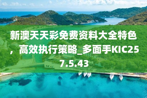 新澳天天彩免费资料大全特色，高效执行策略_多面手KIC257.5.43