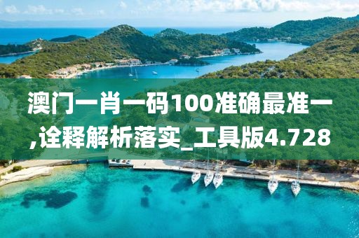 澳门一肖一码100准确最准一,诠释解析落实_工具版4.728