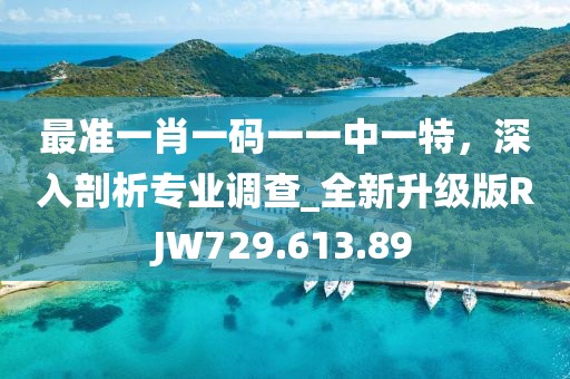 最准一肖一码一一中一特，深入剖析专业调查_全新升级版RJW729.613.89