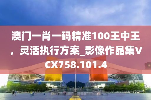 澳门一肖一码精准100王中王，灵活执行方案_影像作品集VCX758.101.4