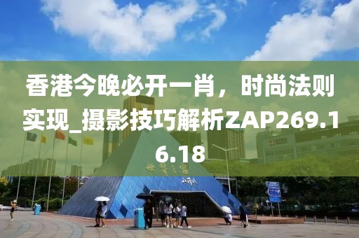 2024年11月 第43页