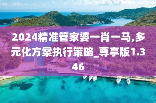 2024精准管家婆一肖一马,多元化方案执行策略_尊享版1.346