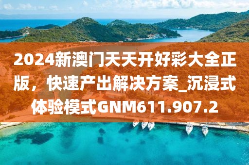 2024新澳门天天开好彩大全正版，快速产出解决方案_沉浸式体验模式GNM611.907.2