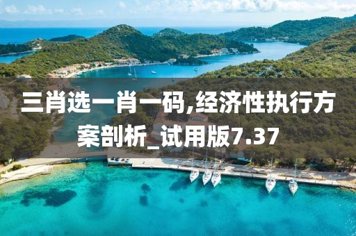 三肖选一肖一码,经济性执行方案剖析_试用版7.37