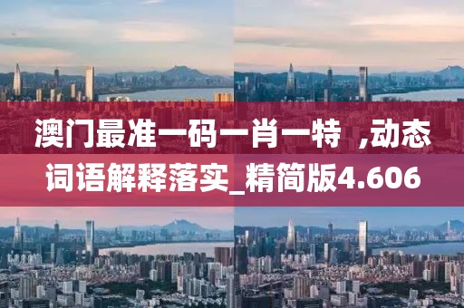 澳门最准一码一肖一特  ,动态词语解释落实_精简版4.606
