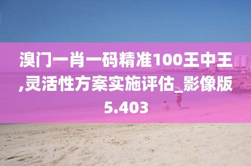溴门一肖一码精准100王中王,灵活性方案实施评估_影像版5.403