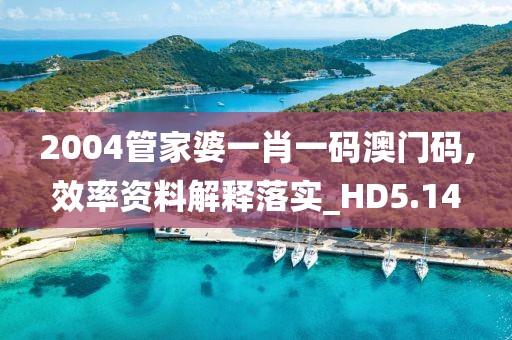 2004管家婆一肖一码澳门码,效率资料解释落实_HD5.14