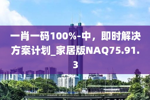 一肖一码100%-中，即时解决方案计划_家居版NAQ75.91.3