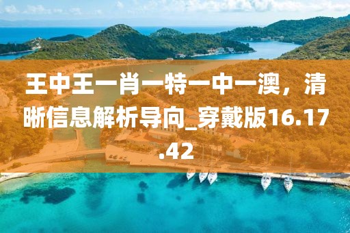 王中王一肖一特一中一澳，清晰信息解析导向_穿戴版16.17.42