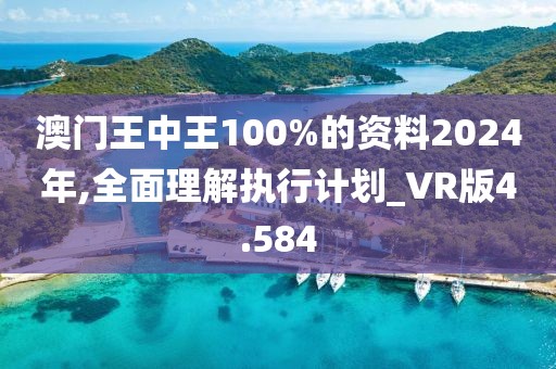 澳门王中王100%的资料2024年,全面理解执行计划_VR版4.584