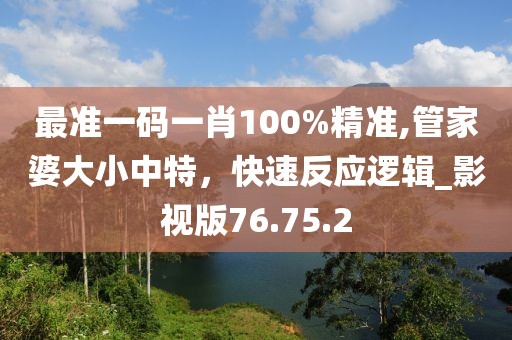 最准一码一肖100%精准,管家婆大小中特，快速反应逻辑_影视版76.75.2