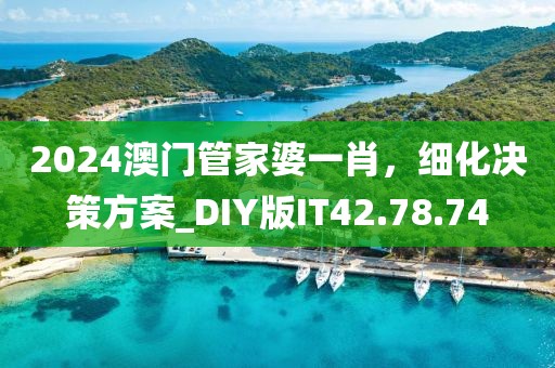 2024澳门管家婆一肖，细化决策方案_DIY版IT42.78.74