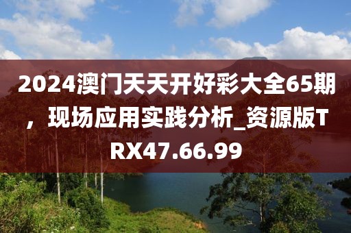 2024澳门天天开好彩大全65期，现场应用实践分析_资源版TRX47.66.99