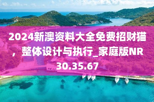 2024新澳资料大全免费招财猫，整体设计与执行_家庭版NR30.35.67