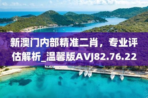 新澳门内部精准二肖，专业评估解析_温馨版AVJ82.76.22