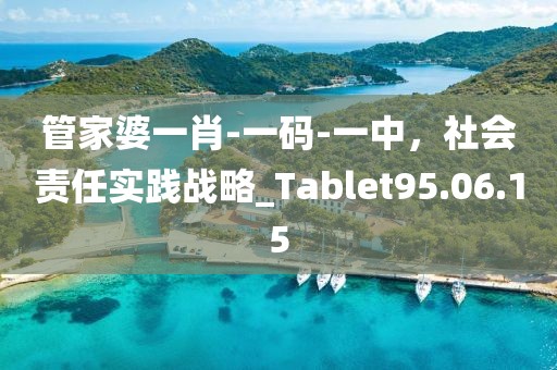 管家婆一肖-一码-一中，社会责任实践战略_Tablet95.06.15